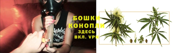 ПСИЛОЦИБИНОВЫЕ ГРИБЫ Зеленодольск