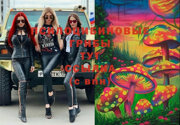 ПСИЛОЦИБИНОВЫЕ ГРИБЫ Зеленодольск