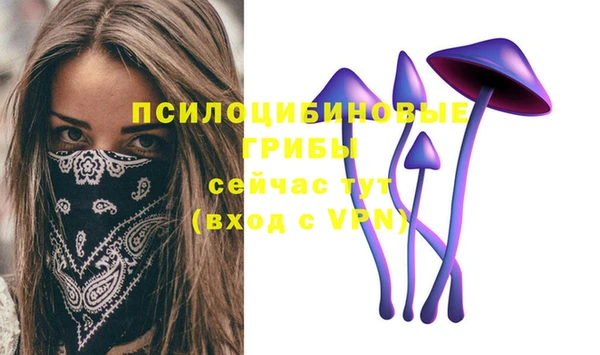 mix Зеленокумск