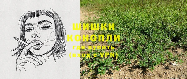 ПСИЛОЦИБИНОВЫЕ ГРИБЫ Зеленодольск