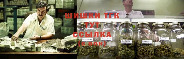 ПСИЛОЦИБИНОВЫЕ ГРИБЫ Зеленодольск