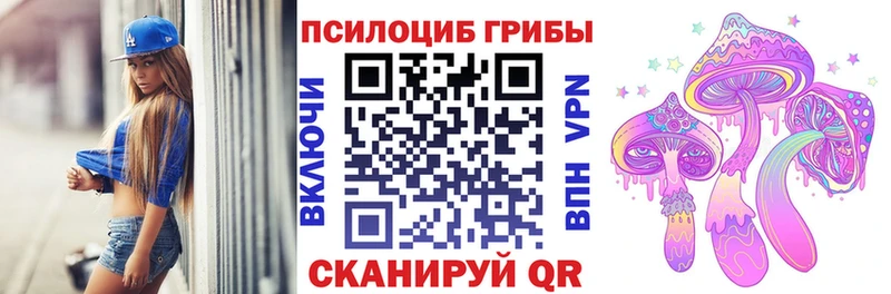 Псилоцибиновые грибы Psilocybe Протвино