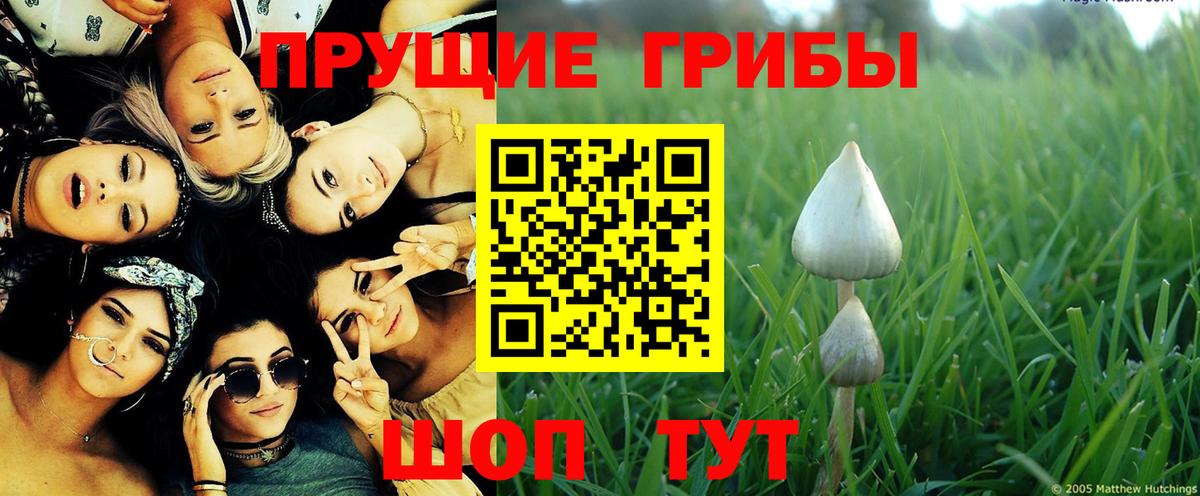 Галлюциногенные грибы Cubensis  Вход с VPN  купить   Протвино  Галлюциногенные грибы ЛСД 