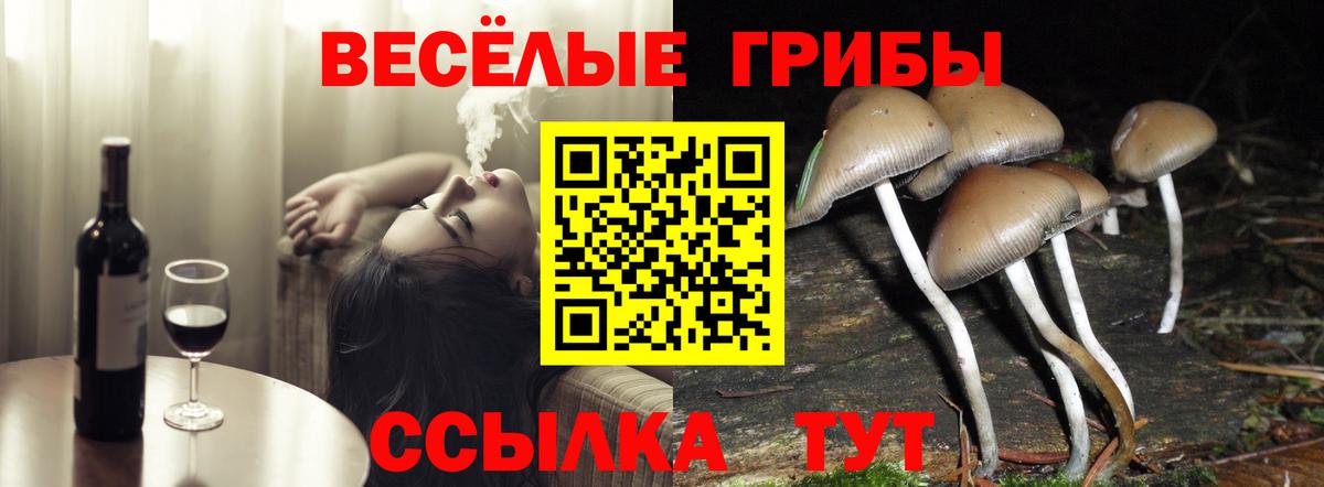 Галлюциногенные грибы MAGIC MUSHROOMS Протвино